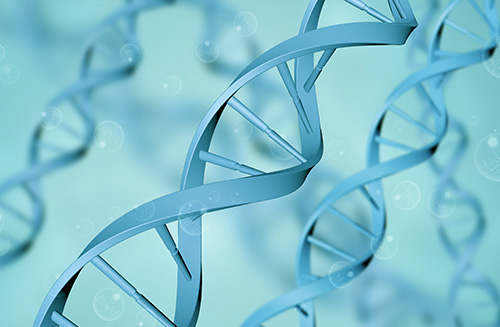 岱山醫療網站建設